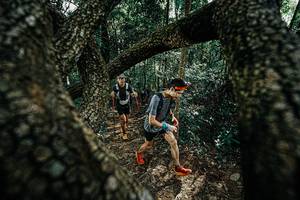 BIB: 
                            <button type="button" onclick="openModal(25391914)" class="btn btn-primary btn-sm float-right btn-popup" data-toggle="modal" data-target=".modal-high-quality">
                        <i class="fas fa-shopping-cart"></i> Add to Cart
                    </button>
                                            <button type="button" onclick="isThisMe(25391914, true)" class="btn btn-success btn-sm float-right btn-popup btn-isme hidden" data-toggle="tooltip" data-placement="bottom" title="นี่คือรูปของคุณใช่ไหม คลิกที่นี่เพื่อเอาเข้าอัลบั้ม">
                        <i class="fas fa-plus"></i> Add to album
                    </button>
                    <button type="button" onclick="isThisMe(25391914, false)" class="btn btn-warning btn-sm float-right btn-popup btn-isnotme hidden">
                        <i class="fas fa-ban"></i> Remove from album
                    </button>